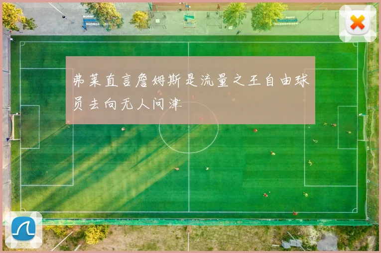 弗莱直言詹姆斯是流量之王自由球员去向无人问津